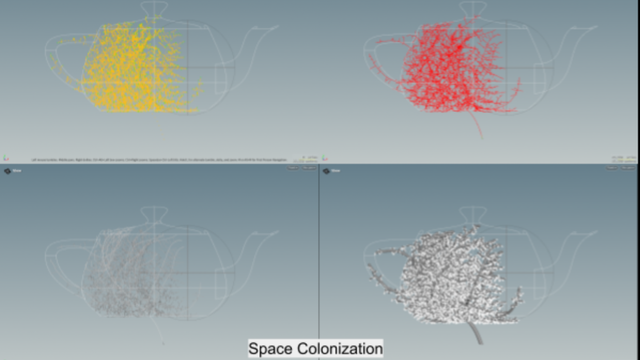 Space Colonization